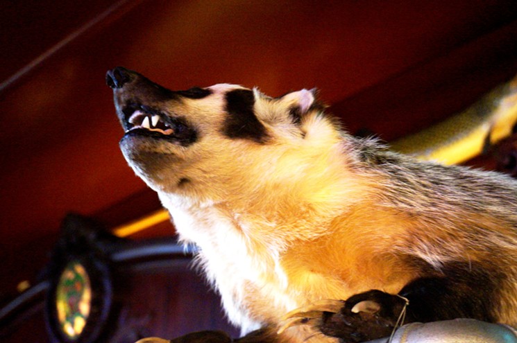 Badgers are welcome at Wally's.